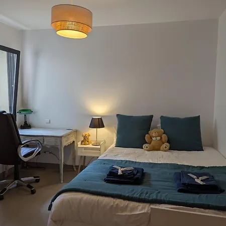 펜션 Maison Elegante Avec Piscine Privative, Jardin Clos Et Animaux Admis - Fr-1-653-279 Soyaux